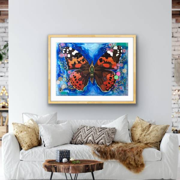 australian butterfly