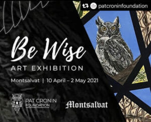 Be Wise Exhibition Cronin Foundation
